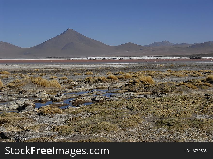 Laguna Colorada, a red colored lake in Bolivian Altiplano