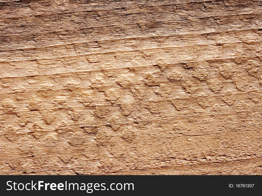 Wood background with the rough texture of the tree.