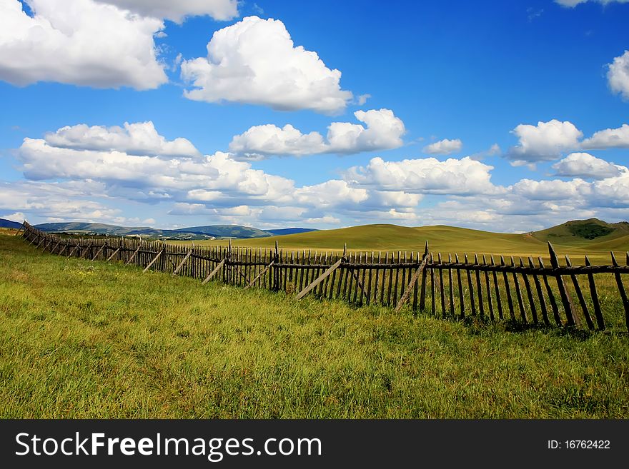 Wooden fence on the meadow