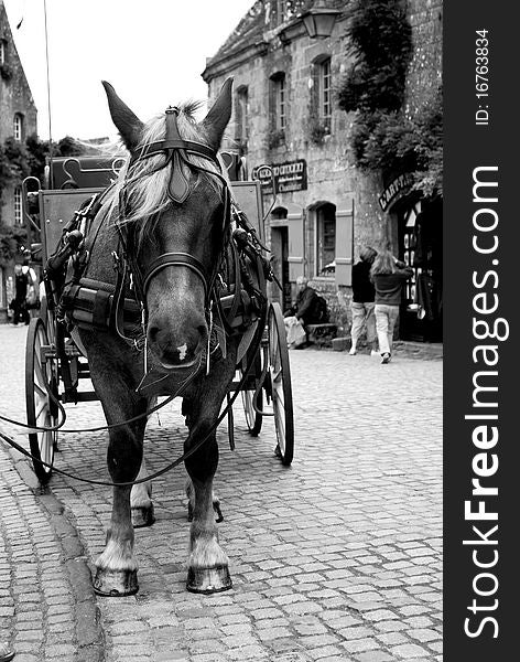 Horse in the main square of Locronan, a medieval village in Brittany, northern France. Horse in the main square of Locronan, a medieval village in Brittany, northern France.