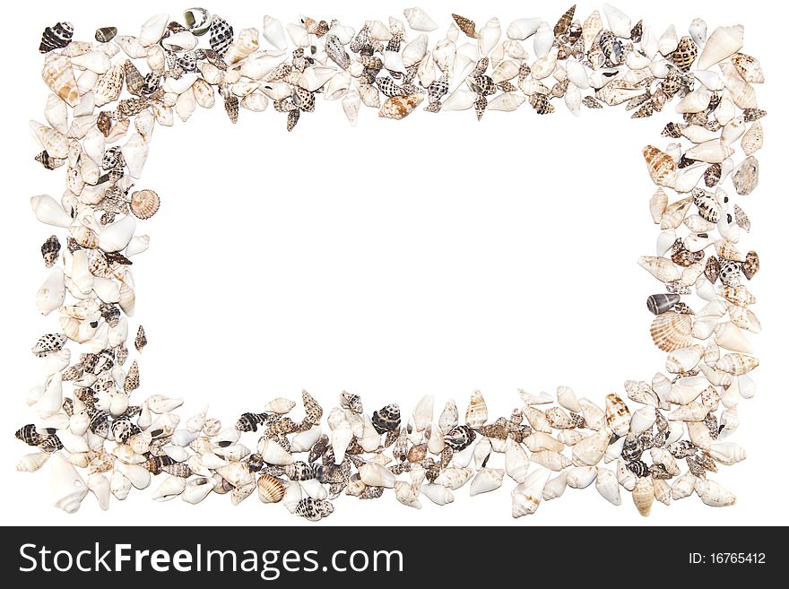 Shell Frame On White Background