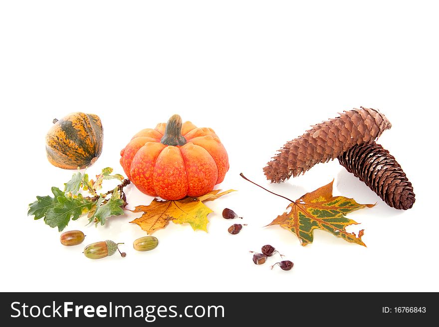 Squashes and autumn leaves isolated on white background