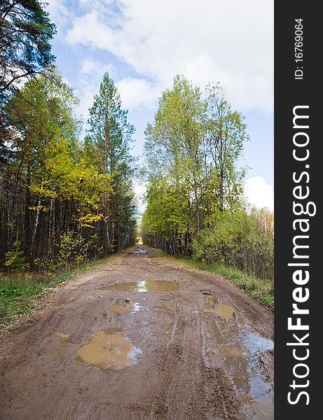 A muddy rural road with puddles in autumn.