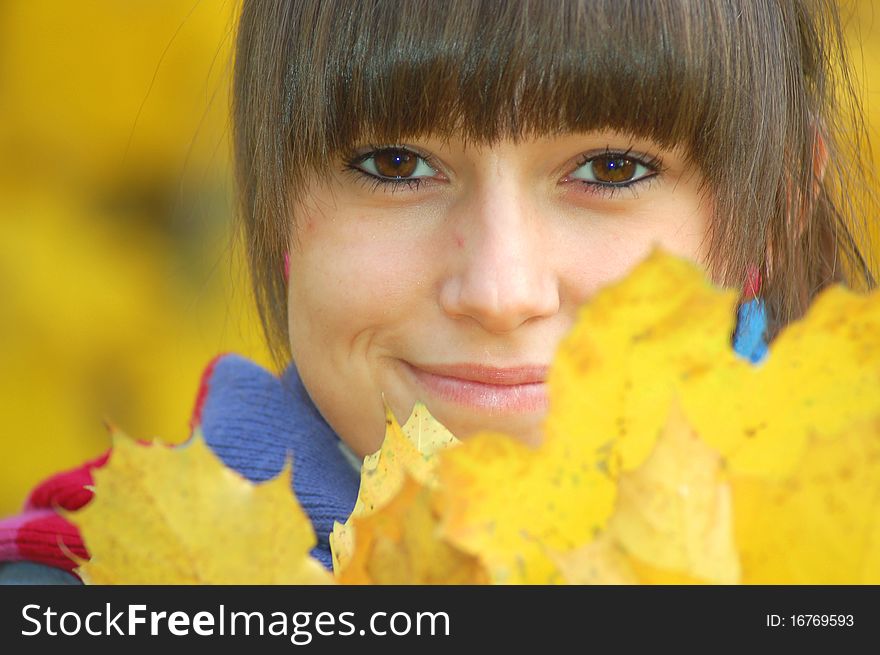 A girl hidden behind maple autumn leaves. A girl hidden behind maple autumn leaves