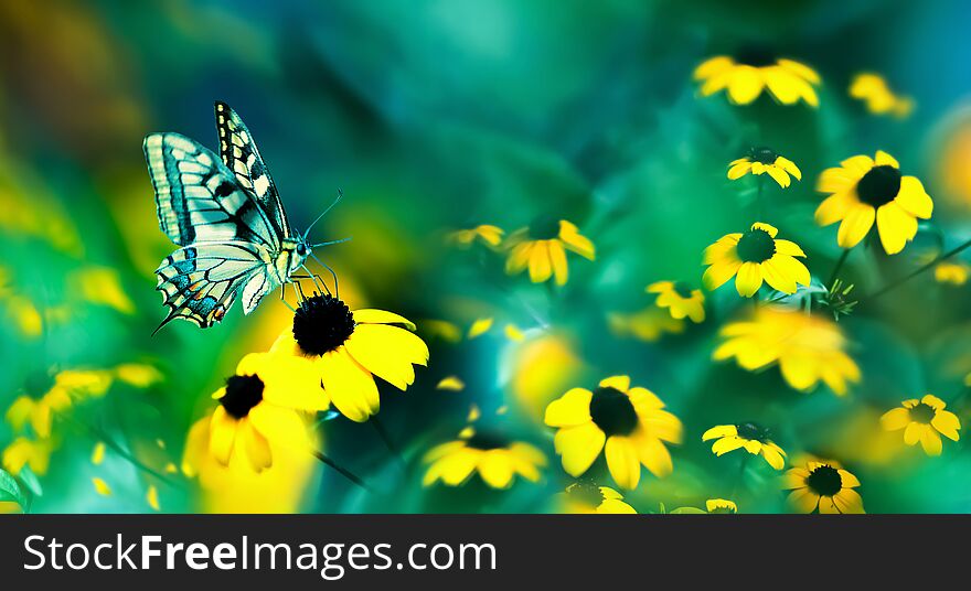 Summer abstract magic natural background. Butterfly and yellow flowers against a beautiful aquamarine and blue bokeh.