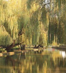 Pond Fall In A City Park Stock Images Pond Fall In A City Park Stock Images