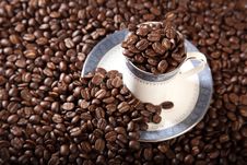 Cup And Saucer Full Of Roasted Coffee Beans Stock Images Cup And Saucer Full Of Roasted Coffee Beans Stock Images