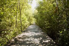Wooden Bridge Stock Photo Wooden Bridge Stock Photo