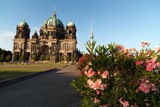 Berliner Dom With Fernsehturm And Oleander V2 Royalty Free Stock Photos Berliner Dom With Fernsehturm And Oleander V2 Royalty Free Stock Photos