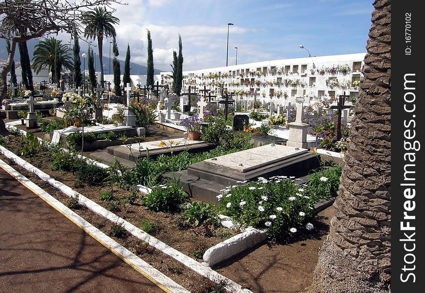 Cemetery On Tenerife