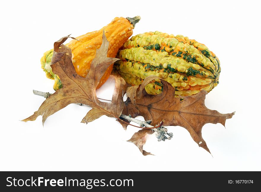 Colorful gourds with autumn leaves and twigs. Colorful gourds with autumn leaves and twigs