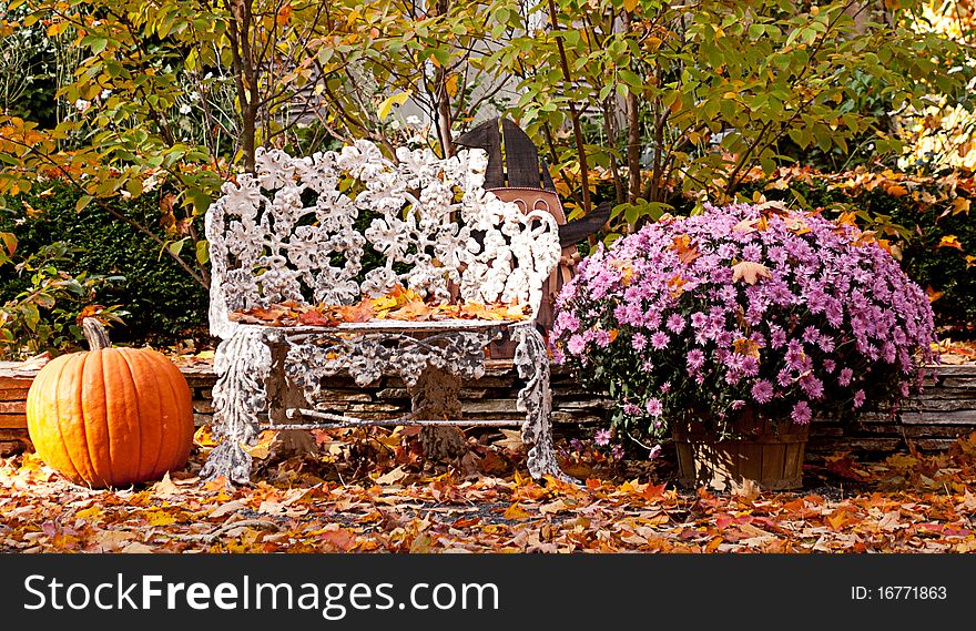 Halloween decoration with pumpkin, bench and purple flowers