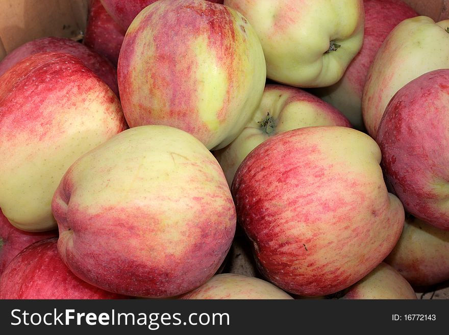 Basket of harvested Liberty apples. Basket of harvested Liberty apples