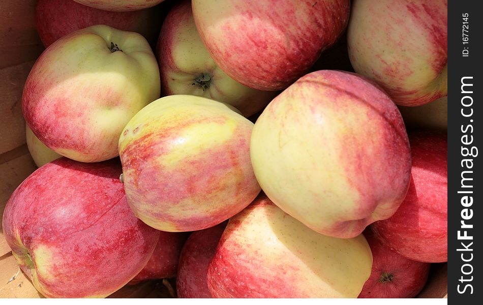 Basket Of Apples