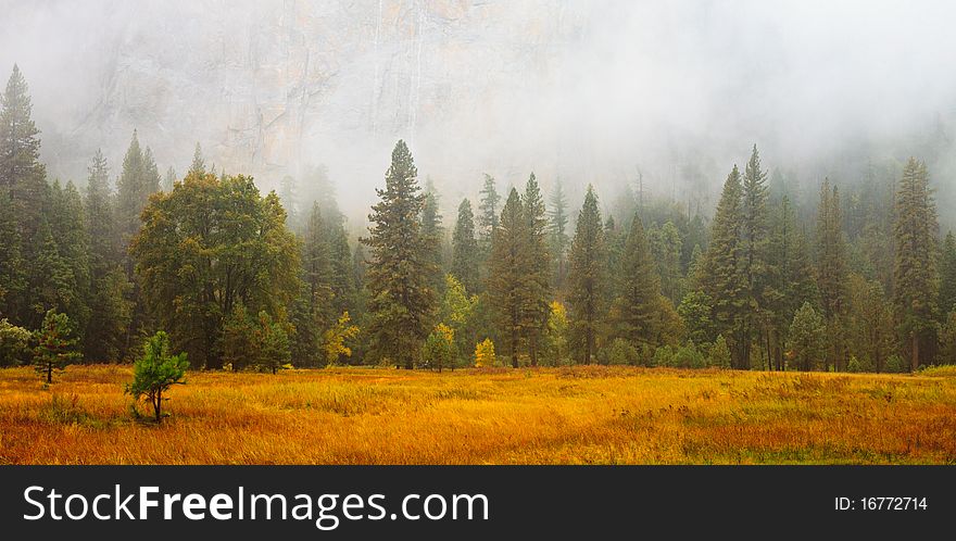 Mist ona rainy day in Yosemite National Park, California. Mist ona rainy day in Yosemite National Park, California.