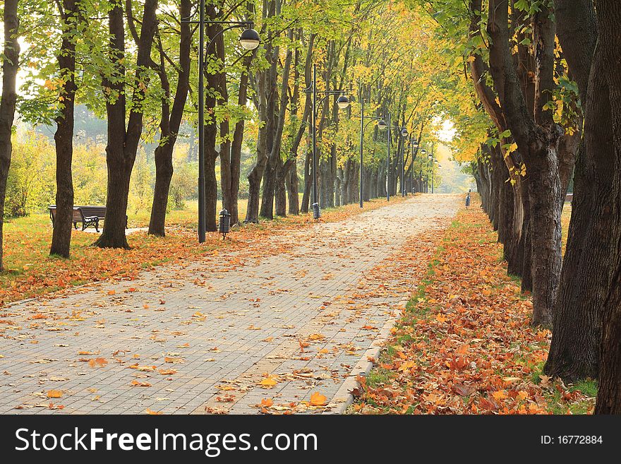 Alley and the trees in a city park in autumn. Alley and the trees in a city park in autumn