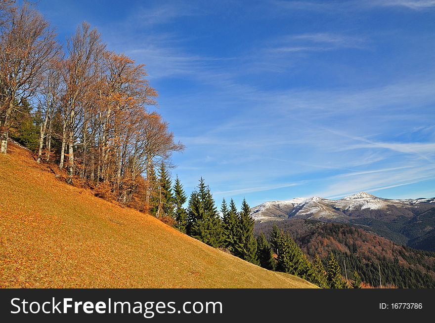 Autumn in mountains in a landscape under the dark blue sky with clouds. Autumn in mountains in a landscape under the dark blue sky with clouds.