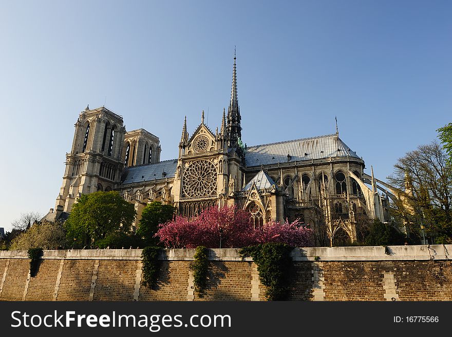 Beautiful View of Notredame Cathedral. Beautiful View of Notredame Cathedral