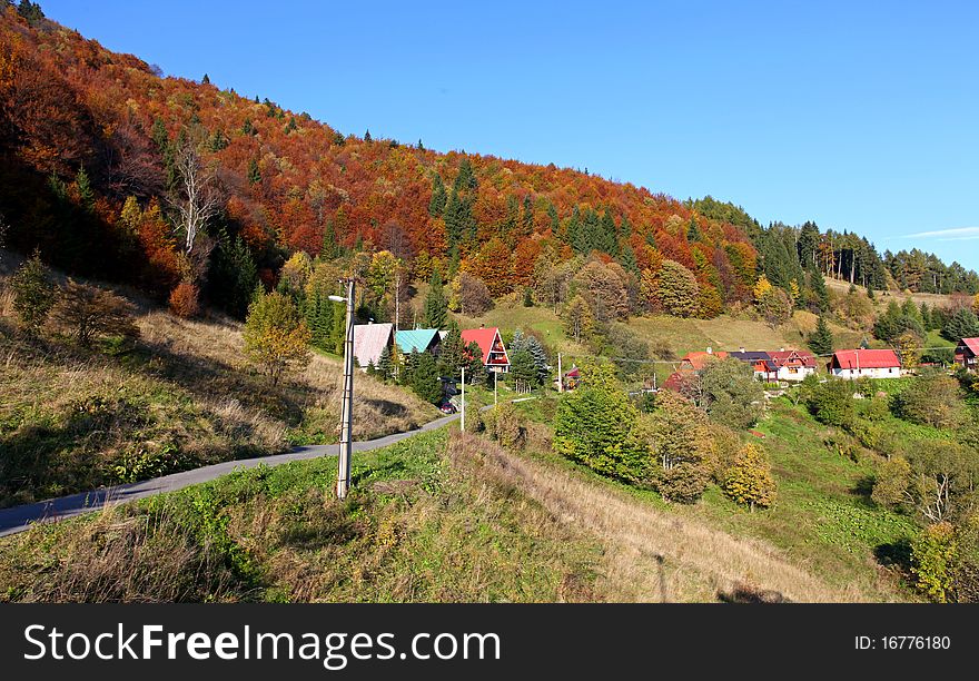 The mountain autumn landscape with colorful forest