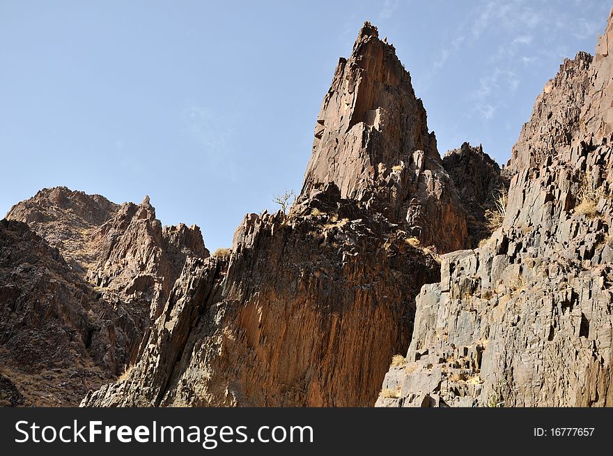 Lonely old tree in the mountains, Jordan. Lonely old tree in the mountains, Jordan