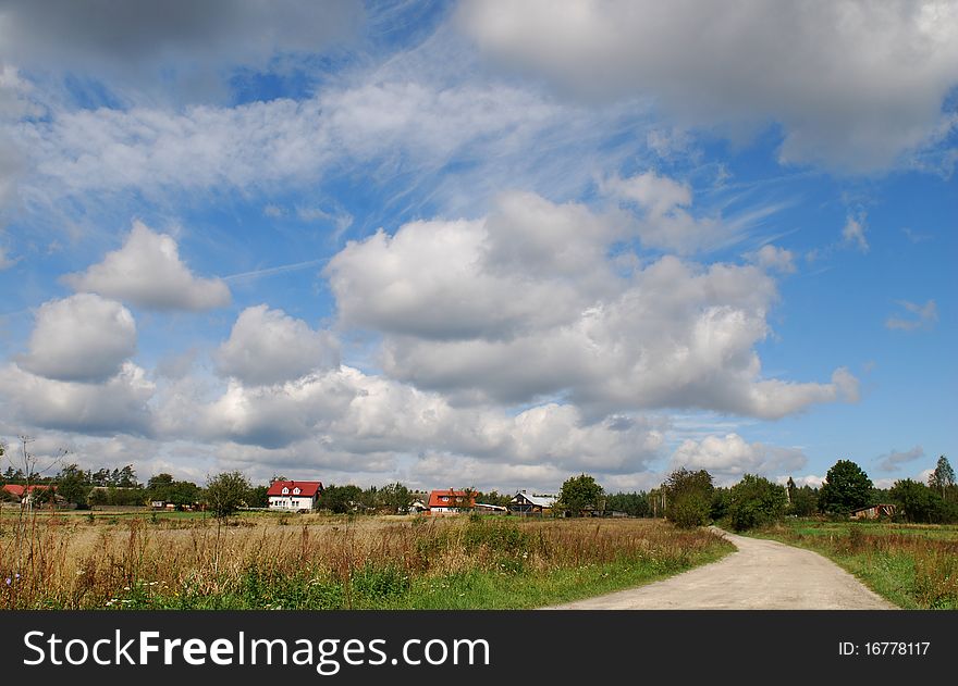 Sand Road In The Field