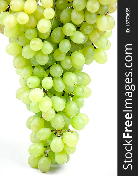 Fresh grape fruits isolated on white background. Fresh grape fruits isolated on white background