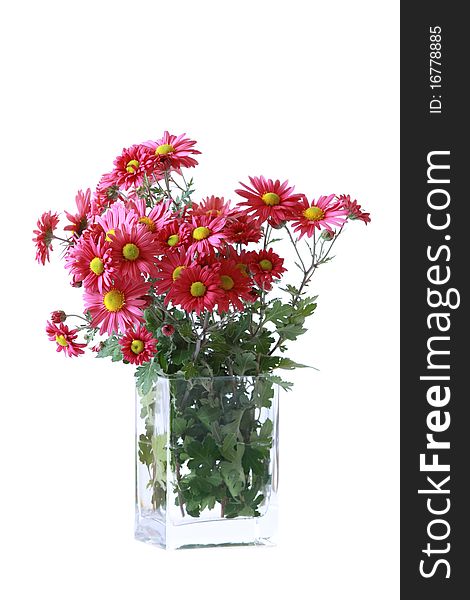 Autumn flowers in glass vase isolated over white