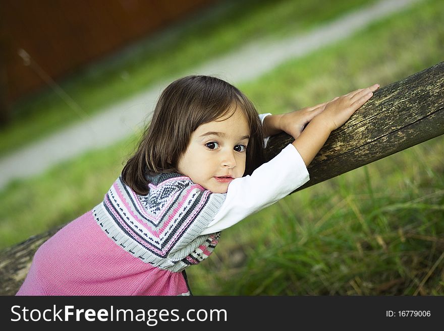 Portrait of a little girl in the park. Portrait of a little girl in the park