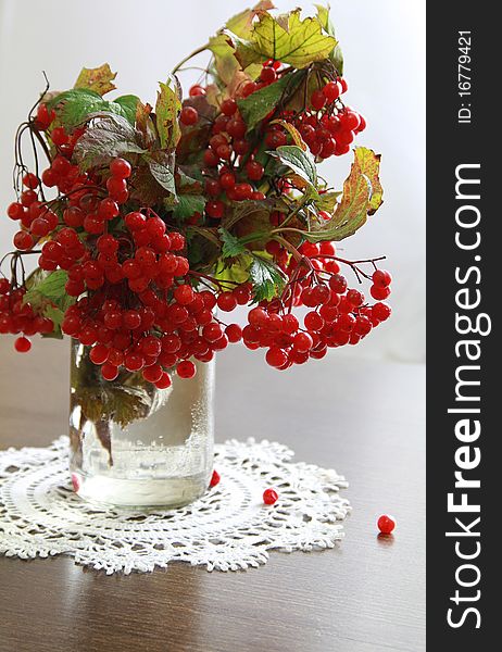 Beautiful still-life with viburnum branches in jar. Beautiful still-life with viburnum branches in jar