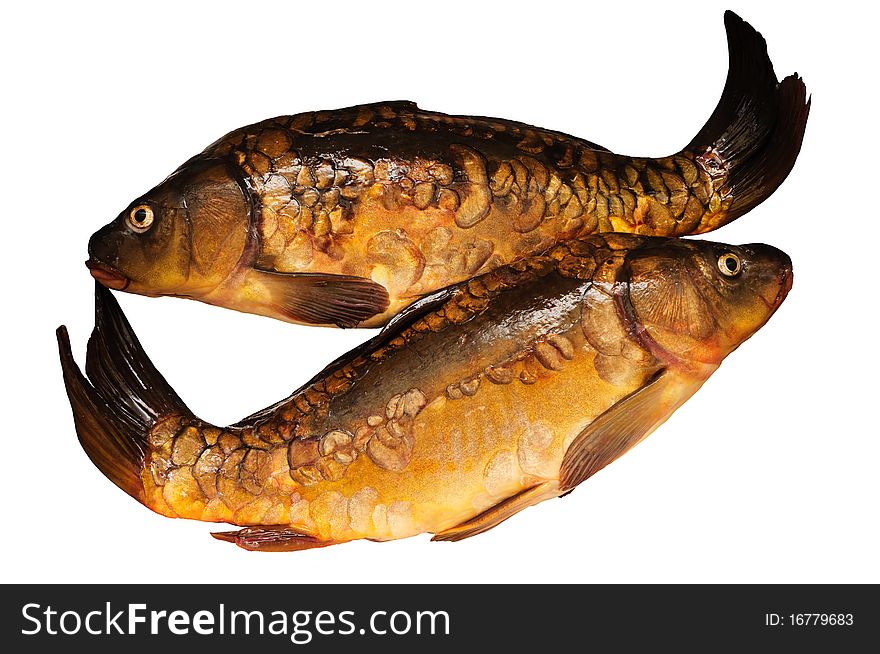 Two carp fishes isolated on white