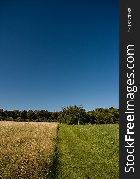 Path in Field, Northumberland, England