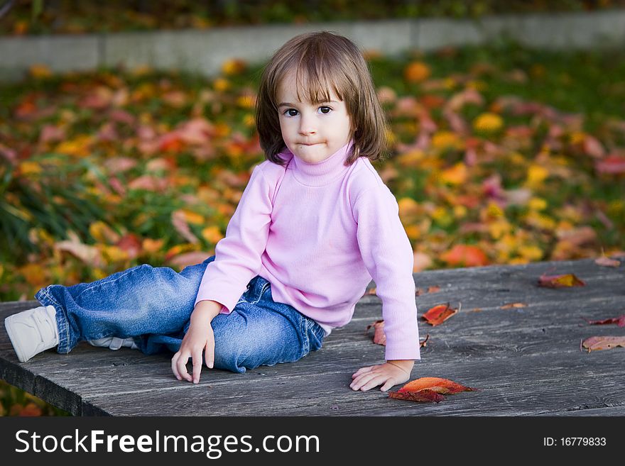 Portrait of a little girl sitting in the autumn park. Portrait of a little girl sitting in the autumn park