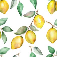 Watercolor Hand Painted Nature Seamless Pattern With Yellow Lemons Fruit Royalty Free Stock Photography