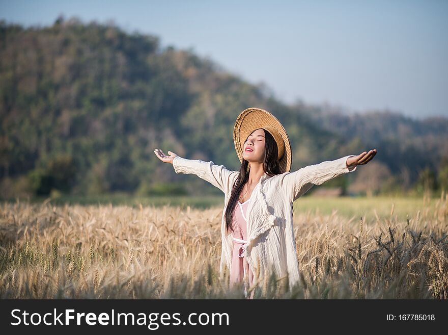 Vietnamese female Wheat harvest