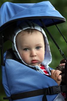 Baby In Carrier Royalty Free Stock Photography