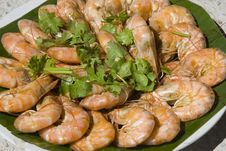 Boiled Shrimp Stock Images