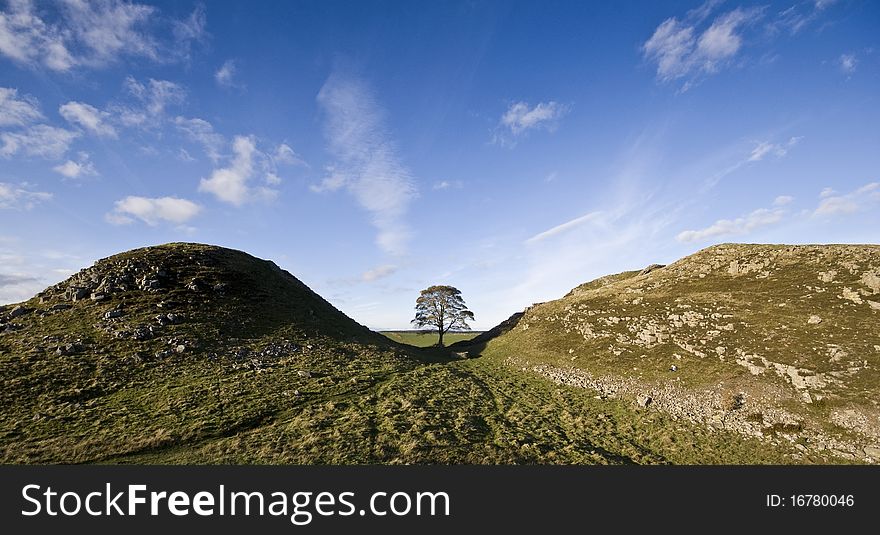 Sycamore Gap lonely tree with blue sky