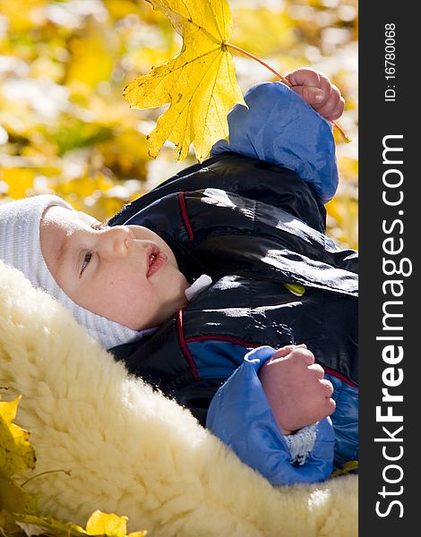 Portrait of a cute baby holding autumn leave. Portrait of a cute baby holding autumn leave