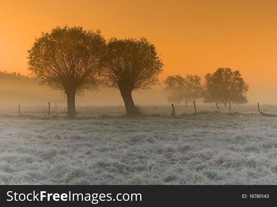 Frosty sunrise above the meadow