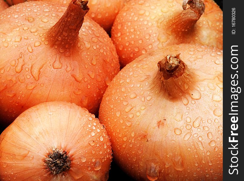Detail of multiple wet onions. Detail of multiple wet onions