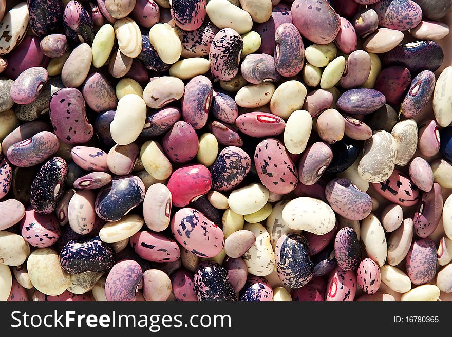 Mix of various kidney beans to be used as background