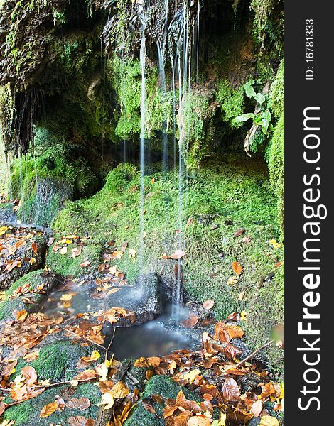 Mountain stream in autumn in Strandzha / Bulgaria /