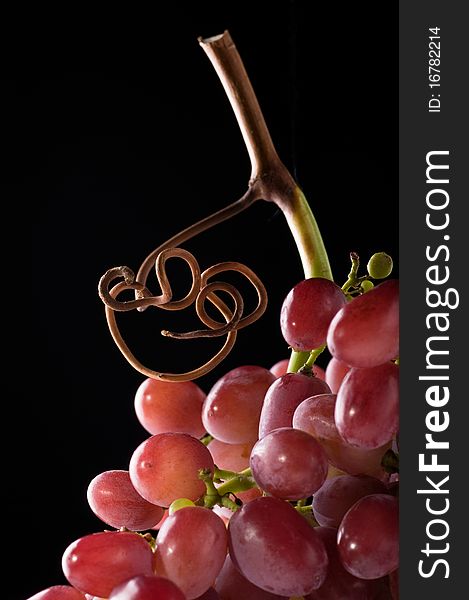 Bunch of grapes with a black background. Bunch of grapes with a black background