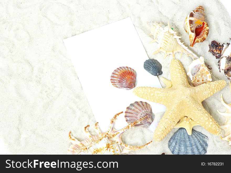 Sea stars and shells an blank postcard on sands