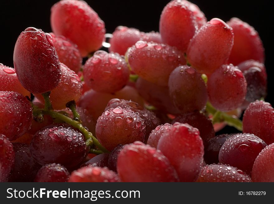 Bunch of red grapes with water drops