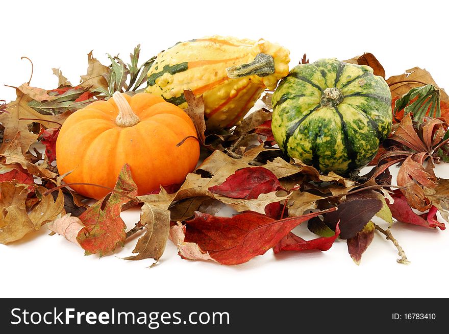 Gourds and pumpkin on a bed of colorful Autumn leaves. Gourds and pumpkin on a bed of colorful Autumn leaves