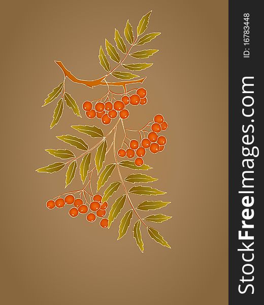 Decorative card with branch of rowanberry