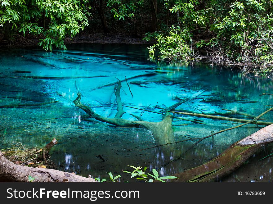 Blue natural pond with perfectly calm water