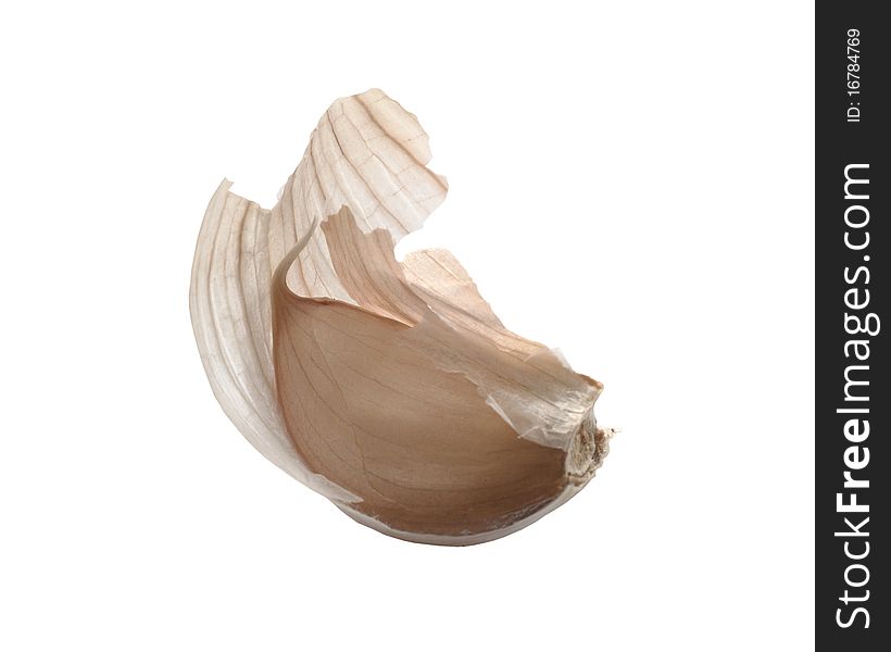 Young garlic on a white background