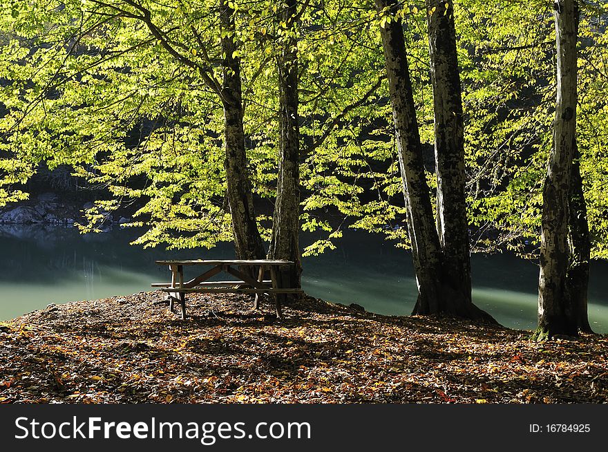 Wood along lake coast in clear autumn day. Sky and clouds. Wood along lake coast in clear autumn day. Sky and clouds